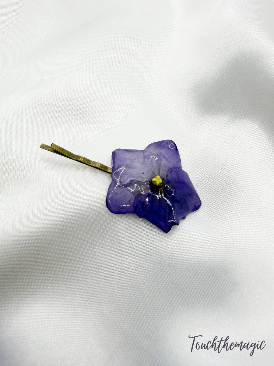 Andromeda pinetka