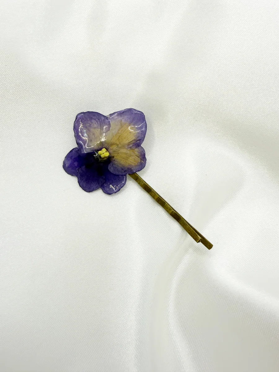 Andromeda pinetka