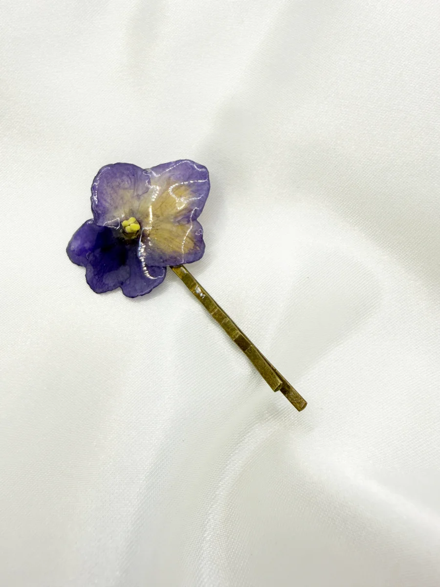 Andromeda pinetka