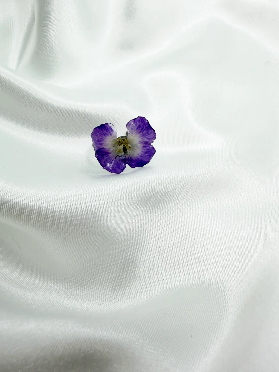 Pleione prsten